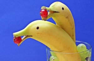 bird-fruit-decoration-food-beak-set-793082-pxhere.com